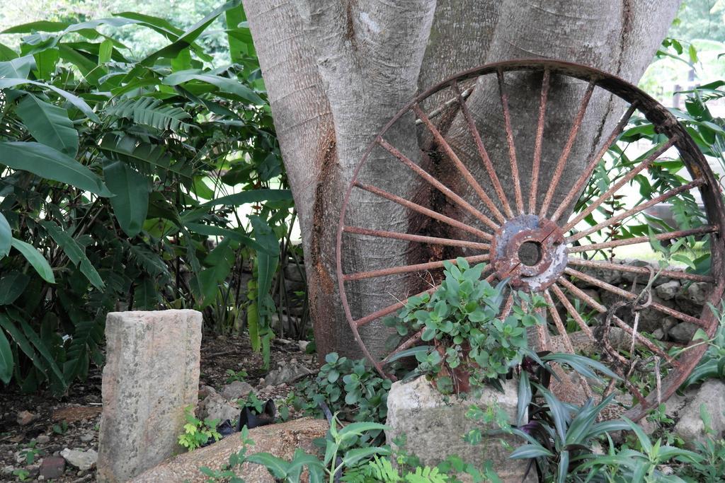 Hacienda Tepich Casa Vargas Mérida Εξωτερικό φωτογραφία