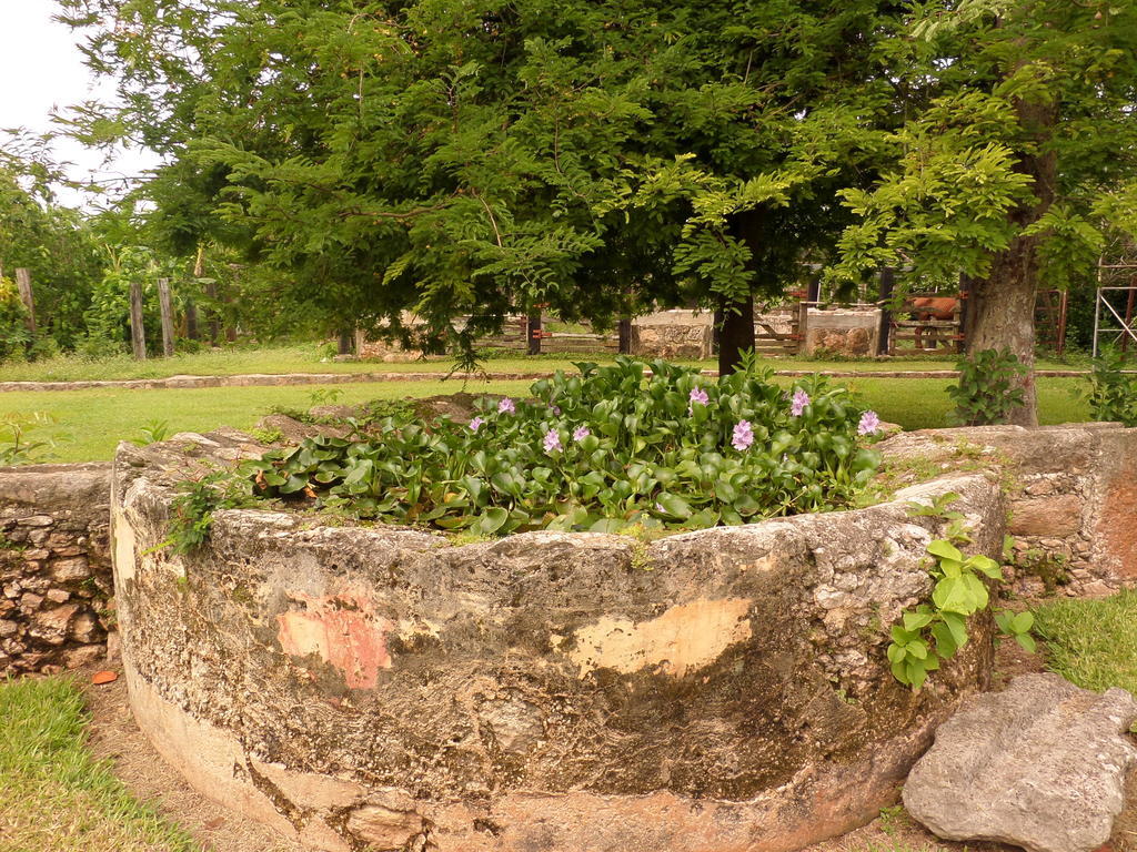 Hacienda Tepich Casa Vargas Mérida Εξωτερικό φωτογραφία